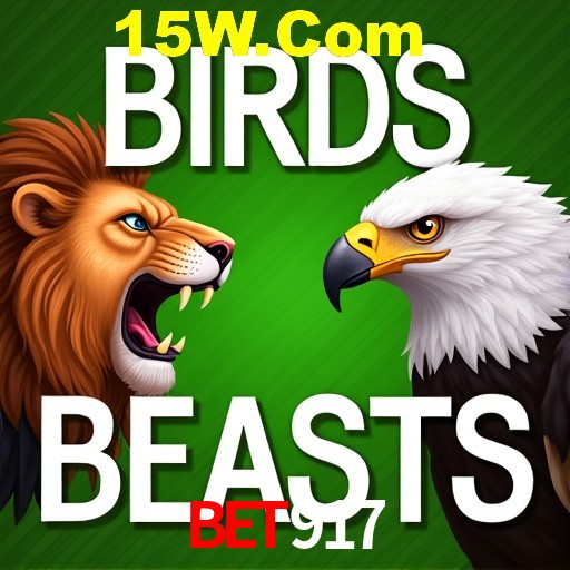 Bet917 Rio de Janeiro - Bonus Terms